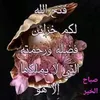 um_omer00