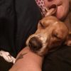 slcacker12