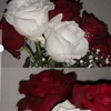 zead_866