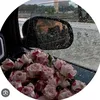 albr_61