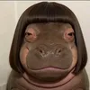 chsihfg