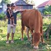 Achmad Koe