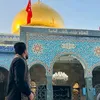 user401109587933raed