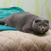 galinapoliakova1