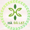 thihabui220992