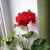 lyda_242