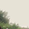 amien.hdyat