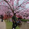 ahmad_khusyairi0