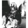 xx.adopt.a.pet.xx2