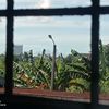 anandananda005