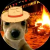 tx_gamer_of
