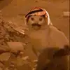 .j2m7