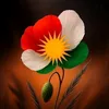 ahmadkoye523