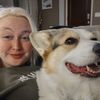 motherofcorgis94