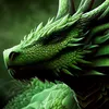 draka_rl
