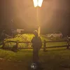 maxidernoob