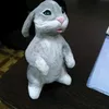 jackvosmyorkino