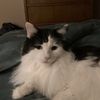 momma_midge
