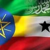 Tog Wajaale somaliland 💚🤍❤️