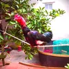 hua.nguyendinh91