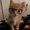 giaphucdth