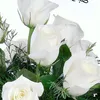 al.ashwaq