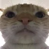 thober_01