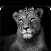 the_queen_s2