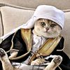 missyoucat43
