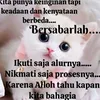 mujie0909