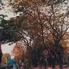 rethaa262