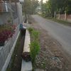 kolop481