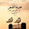 aseelzafirshihab