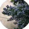 rtyuiop286