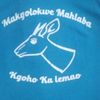 1910lekgolokwe