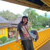 panjol_zz