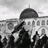 mohammedahmedhefni0