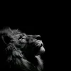 المصمم شهوبي❤️‍🔥🌹