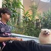 boysros9