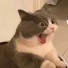 hanstillattack