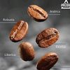 barista8888