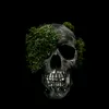 barely_active