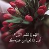 73hla37