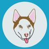 nanuq_the_siberian