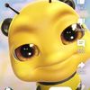 avaabear5