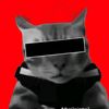 la_catze