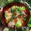 Dietbynuri