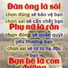 maihoang409