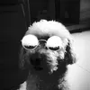 gabriel_nacimento