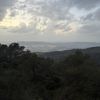 1haronik_12